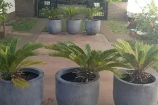 1933 Dewey St, Hollywood, FL 33020 - Photo 3