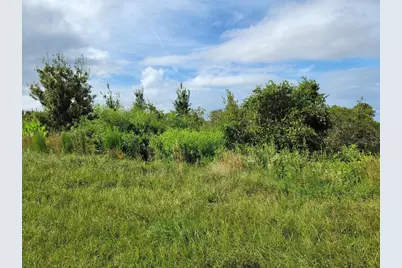 17275 NW 260th Street, Okeechobee, FL 34972 - Photo 3