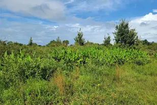 17275 NW 260th St, Okeechobee, FL 34972 - Photo 1