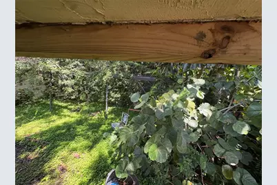 2109 Pinehurst Drive, West Palm Beach, FL 33407 - Photo 19