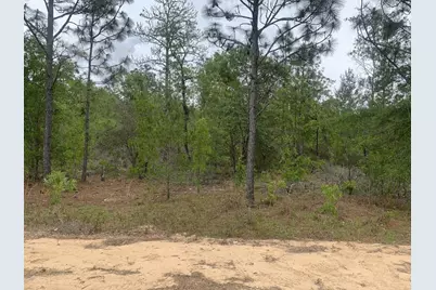 0 May Lane, Interlachen, FL 32148 - Photo 1