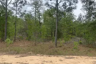 0 May Ln, Interlachen, FL 32148 - Photo 1