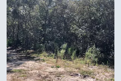 0 Maine Avenue, Interlachen, FL 32148 - Photo 1