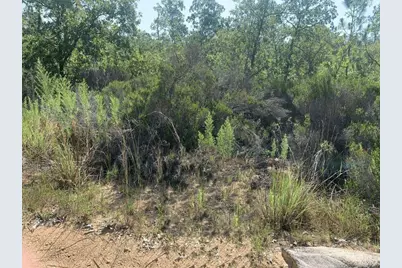 214 Marion Trail, Interlachen, FL 32148 - Photo 1