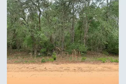 0 David Avenue, Interlachen, FL 32148 - Photo 1