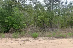 0 May Ln, Interlachen, FL 32148 - Photo 1