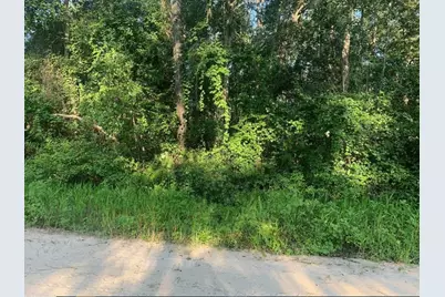 0 Ida Boulevard, Interlachen, FL 32148 - Photo 1