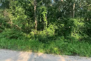 0 Ida Blvd, Interlachen, FL 32148 - Photo 1