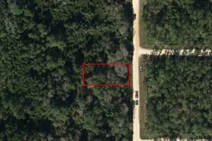 0 Ida Blvd, Interlachen, FL 32148 - Photo 1