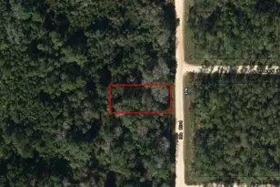 0 Ida Blvd, Interlachen, FL 32148 - Photo 1