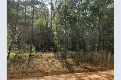 0 Shappell Avenue, Interlachen, FL 32148 - Photo 1