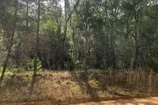 0 Shappell Ave, Interlachen, FL 32148 - Photo 1