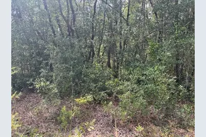 0 Gray Street, Interlachen, FL 32148 - Photo 3