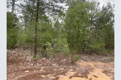 0 Gray Street, Interlachen, FL 32148 - Photo 1