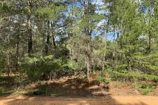 0 Louise Ave, Interlachen, FL 32148 - Photo 1