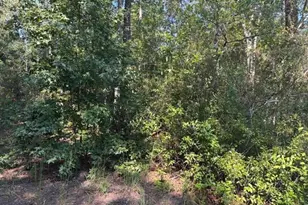 0 SE 8th Ave, Palatka, FL 32177 - Photo 1