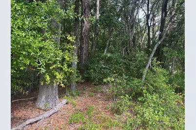 0 SW 30th Place, Ocala, FL 34481 - Photo 1