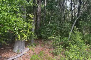 0 SW 30th Pl, Ocala, FL 34481 - Photo 1