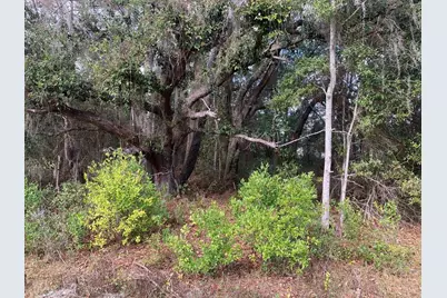 0 SW 30th Place, Ocala, FL 34481 - Photo 3