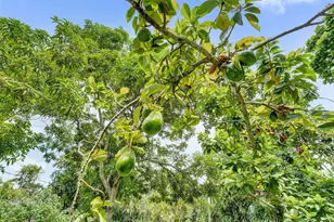 1660 SW 29th Ave, Fort Lauderdale, FL 33312 - Photo 61