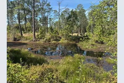 1400 12th Avenue, Deland, FL 32724 - Photo 3