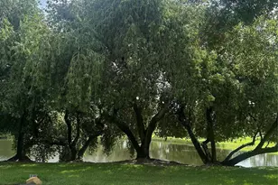 1192 NW Lombardy Dr, Port Saint Lucie, FL 34986 - Photo 15