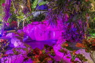 615 Idlewyld Dr, Fort Lauderdale, FL 33301 - Photo 73