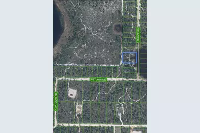 5915 Quince Road, Sebring, FL 33875 - Photo 5