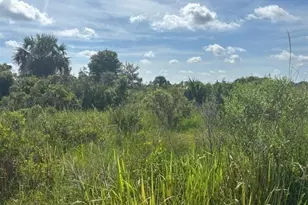 0 NW 312th St, Okeechobee, FL 34972 - Photo 1