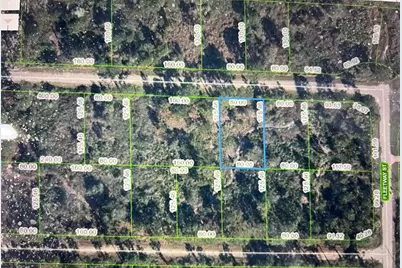 3330 Forrest Ridge Avenue, Lake Placid, FL 33852 - Photo 5