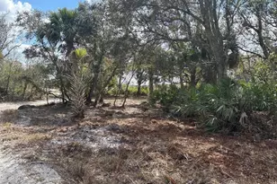 0 NW 300th St, Okeechobee, FL 34972 - Photo 1