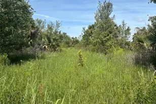 0 NW 300th St, Okeechobee, FL 34972 - Photo 1