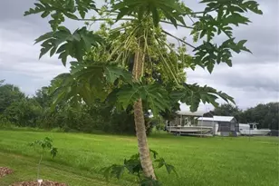 136 SW 85th Ave, Okeechobee, FL 34974 - Photo 41