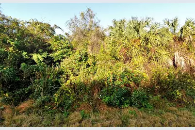 Lot 14 Halo Avenue, North Port, FL 34288 - Photo 1