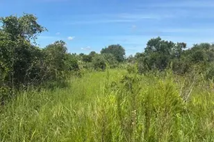 0 NW 312th St, Okeechobee, FL 34972 - Photo 1