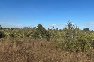 0 NW 290th St, Okeechobee, FL 34972 - Photo 1