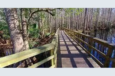 248 Suwanner Drive, Lake Placid, FL 33852 - Photo 3