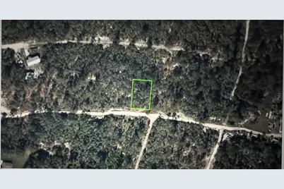 328 Hossler Avenue, Lake Placid, FL 33852 - Photo 9