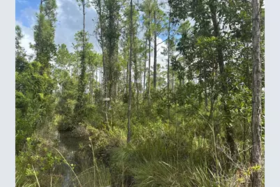 0 Co Road, Lake Wales, FL 33898 - Photo 1