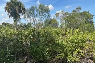 0 NW 310th St, Okeechobee, FL 34972 - Photo 1