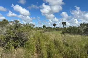 0 NW 310th St, Okeechobee, FL 34972 - Photo 1