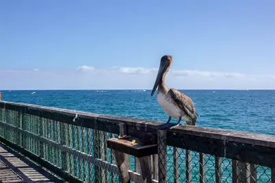 2900 NE 14th Street Causeway #514, Pompano Beach, FL 33062 - Photo 51