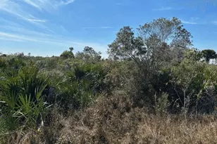 0 NW 308th St, Okeechobee, FL 34972 - Photo 1