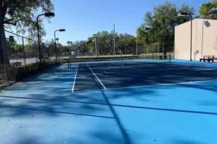 4024 Dream Oak Pl, Tampa, FL 33613 - Photo 3