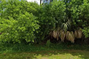 2465 SW Summit St, Port Saint Lucie, FL 34984 - Photo 1