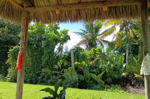 3353 Lake Overlook Pl, Lantana, FL 33462 - Photo 35