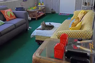 3353 Lake Overlook Pl, Lantana, FL 33462 - Photo 31