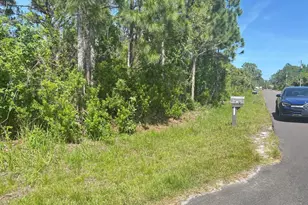 0000 SW Fitzpatrick, Palm Bay, FL 32905 - Photo 1