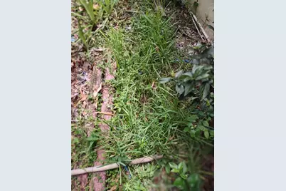 0000 SE 44 Avenue, Ocala, FL 32526 - Photo 1