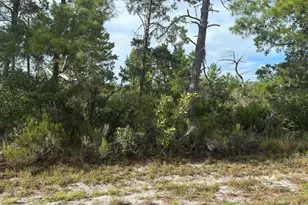 635 Boylston St, Lake Placid, FL 33852 - Photo 1